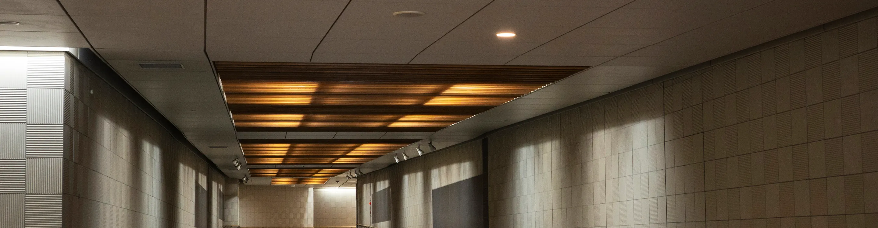 Floor to Ceiling in Dickinson can install acoustic ceiling tile