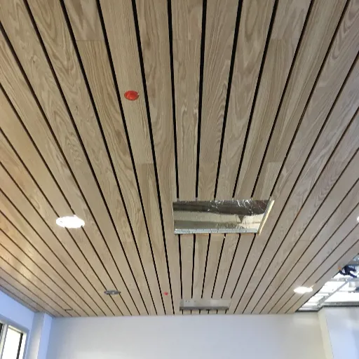 Commercial plank ceiling 